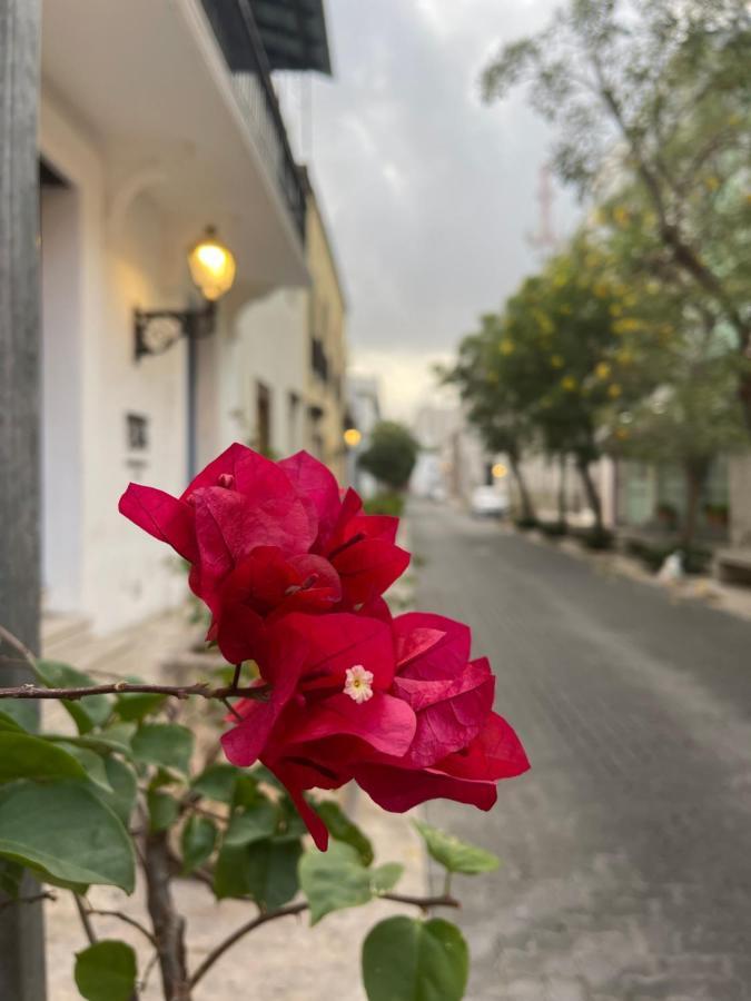 Vbermor Hotel Santo Domingo Exterior photo